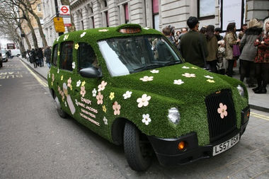 grass taxi