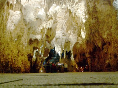 Limestone 'Cathedral' in Waitomo Cave