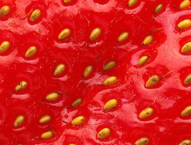 394px Closeup of a strawberry2