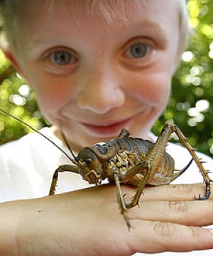 giantweta2